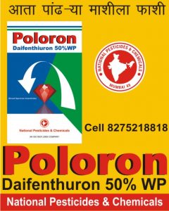 poloron