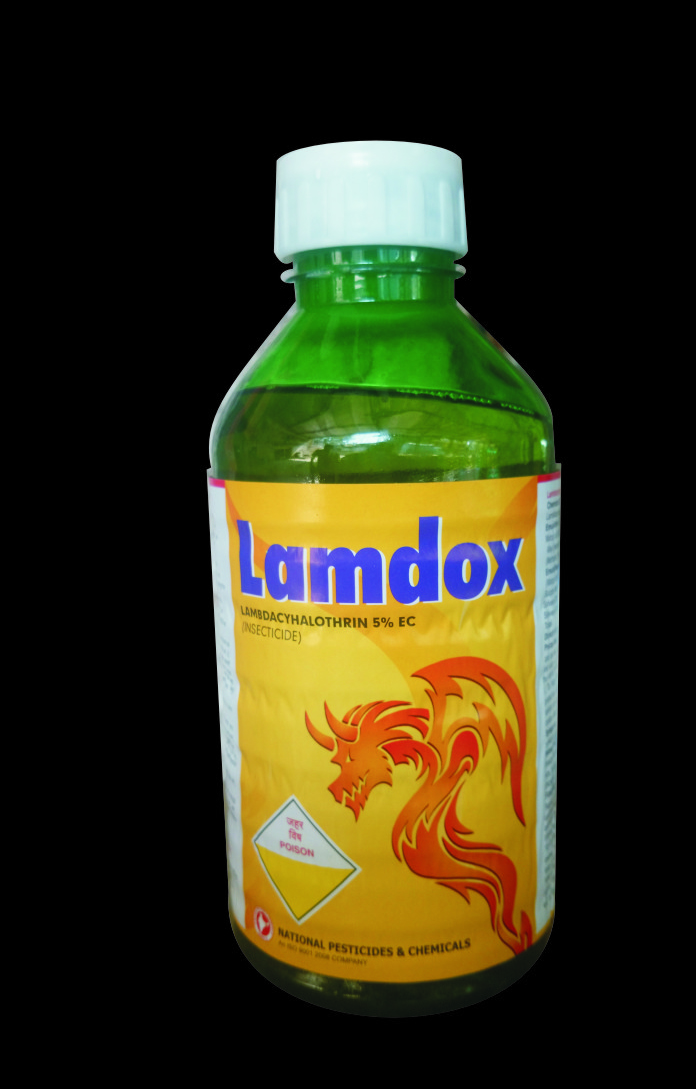 Lamdox