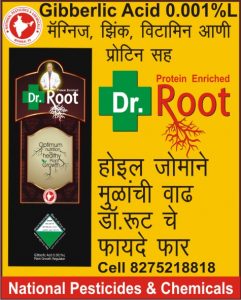 dr_root_with_gibberellic_acid