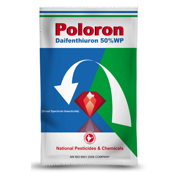 Poloron